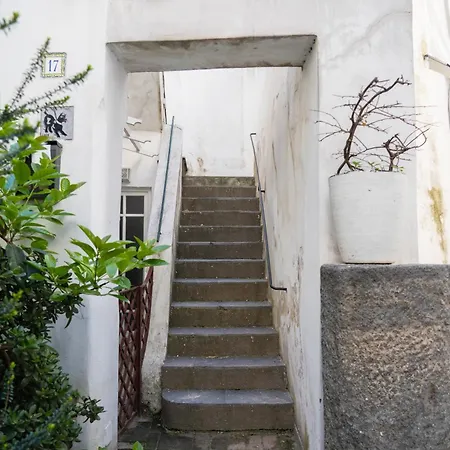 Domus Lejlighed Capri