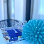 Appartement Domus
